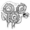 Sunflowers & Bee