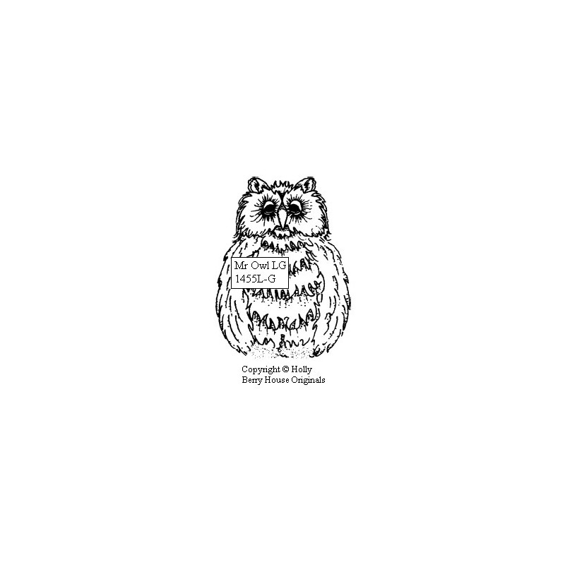 Mr. Owl, large