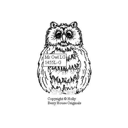 Mr. Owl, large