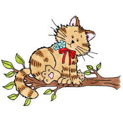 Kitty on Branch