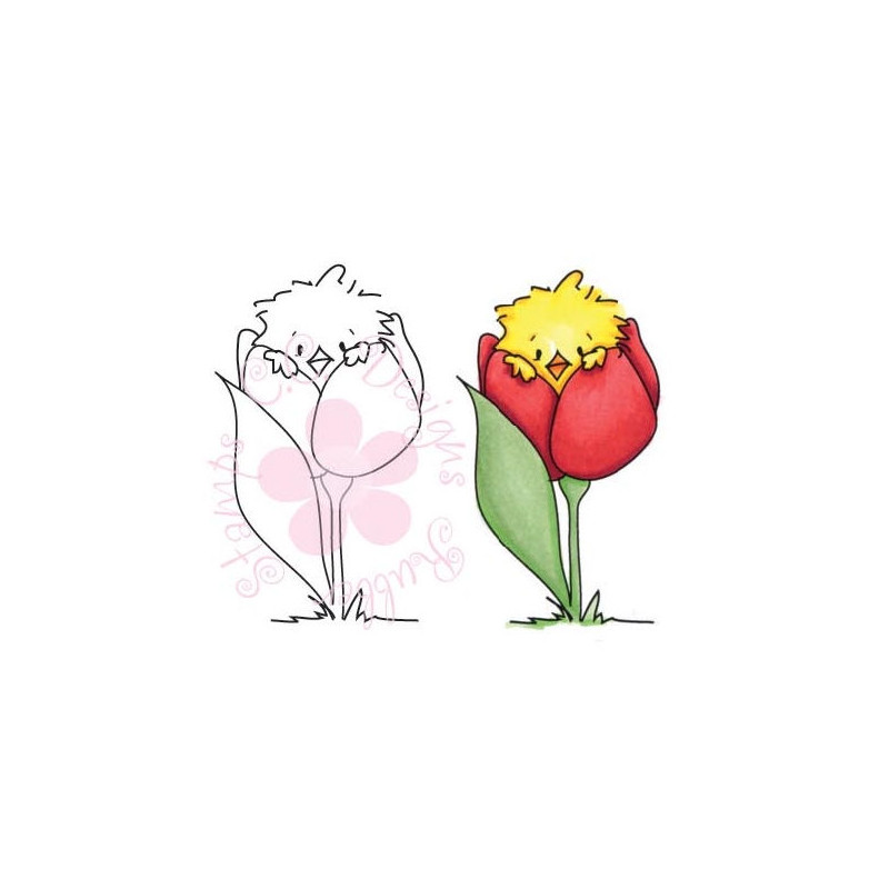 Tulip Peep