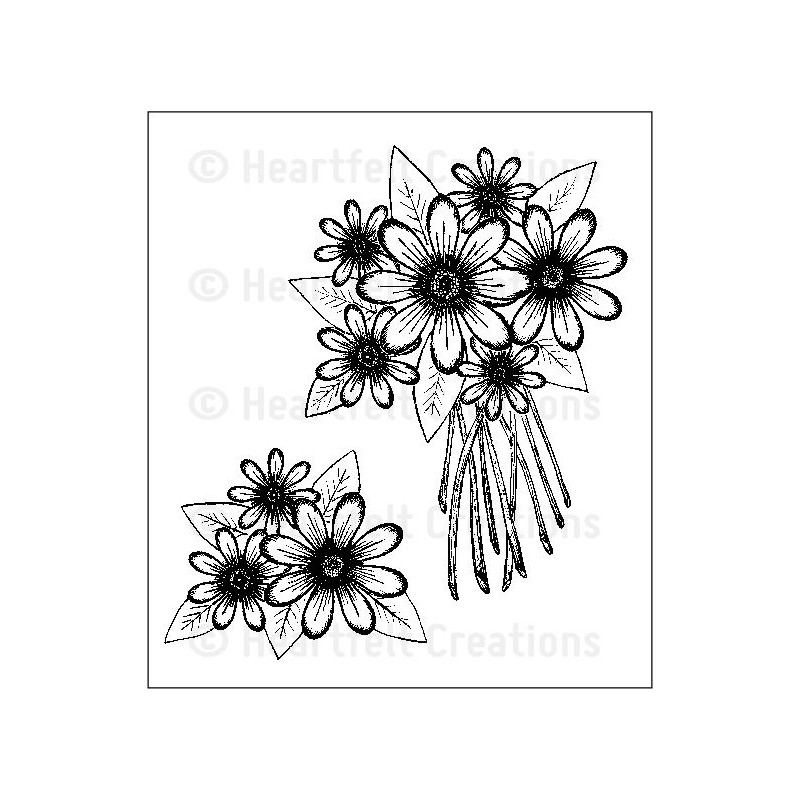 Daisy Patch Bouquet