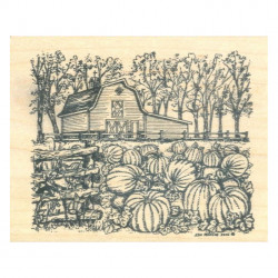 Barn & Pumpkin Patch