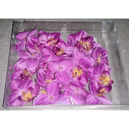 Zweite Chance - Orchideen pink