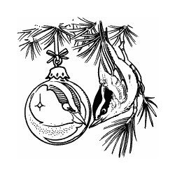 Zweite Chance - Bird and Christmas Ornament