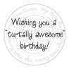 Second Chance - Wishing You a Turtally Awesome Birthday