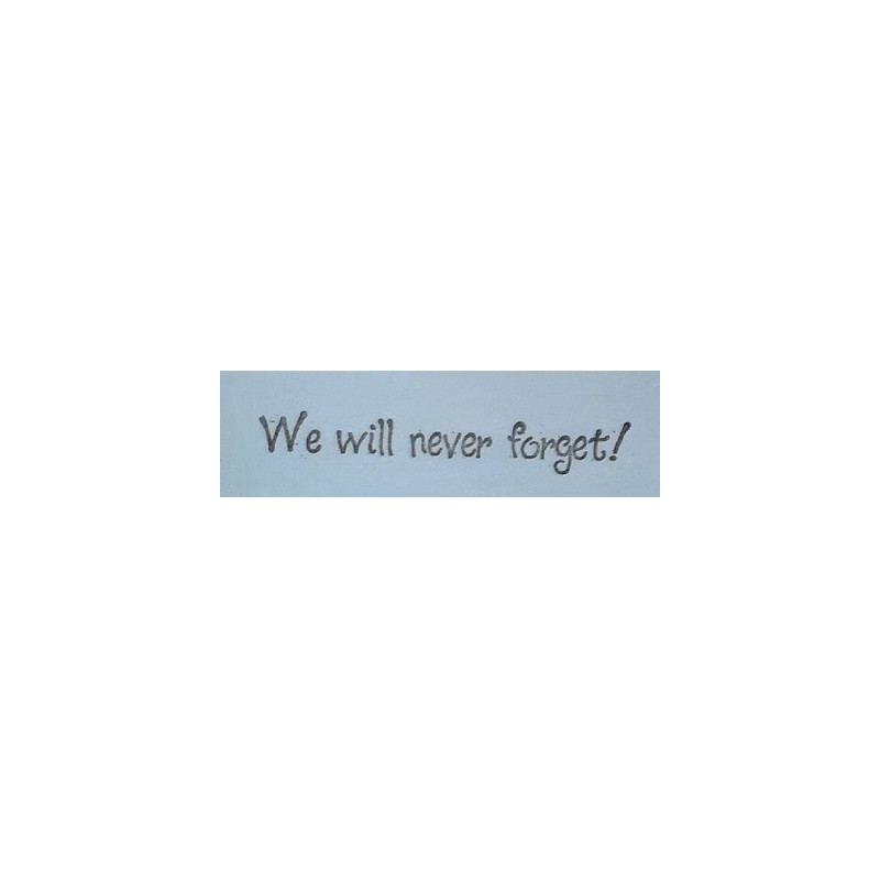 Second Chance - We Will Never Forget