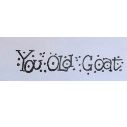 Second Chance - You Old Goat