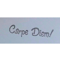 Second Chance - Carpe Diem