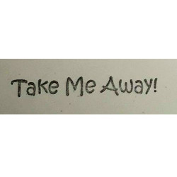 Second Chance - Take me away