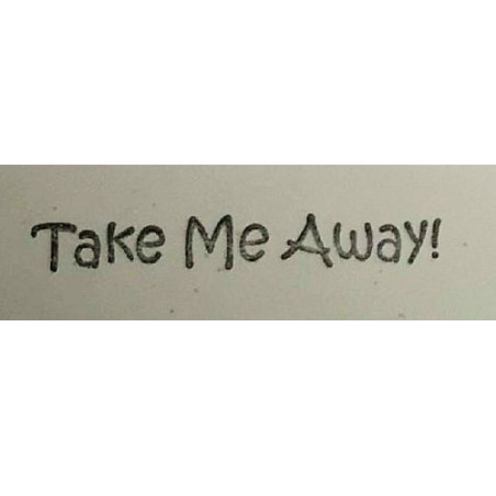 Second Chance - Take me away