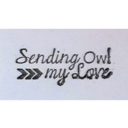 Second Chance - Sending Owl...