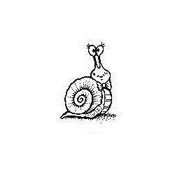 Second Chance - Happy Snail