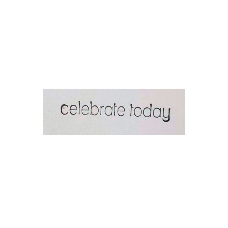 Zweite Chance - celebrate today