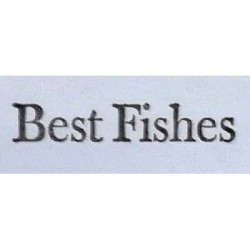 Zweite Chance - Best Fishes