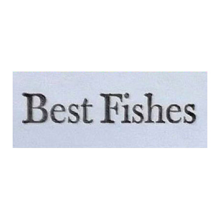 Zweite Chance - Best Fishes