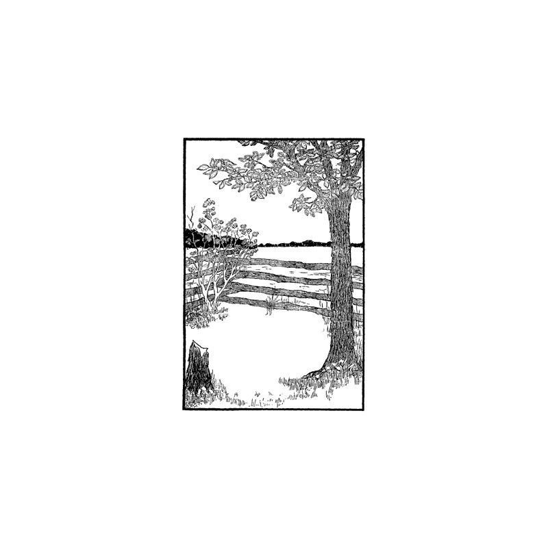 Fence with Tree Scene Frame
