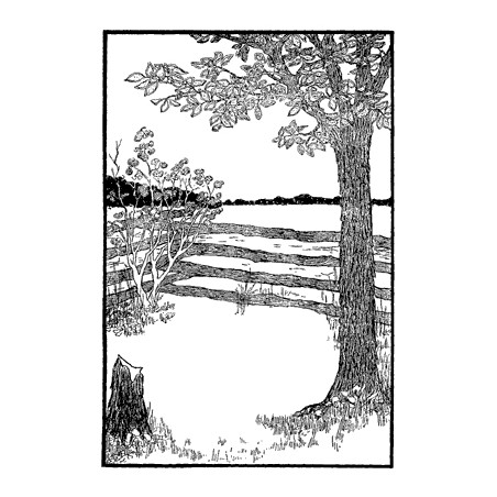 Fence with Tree Scene Frame