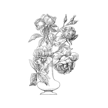 Roses in Vase
