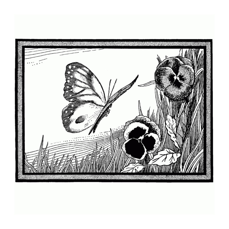 Butterfly & Pansies