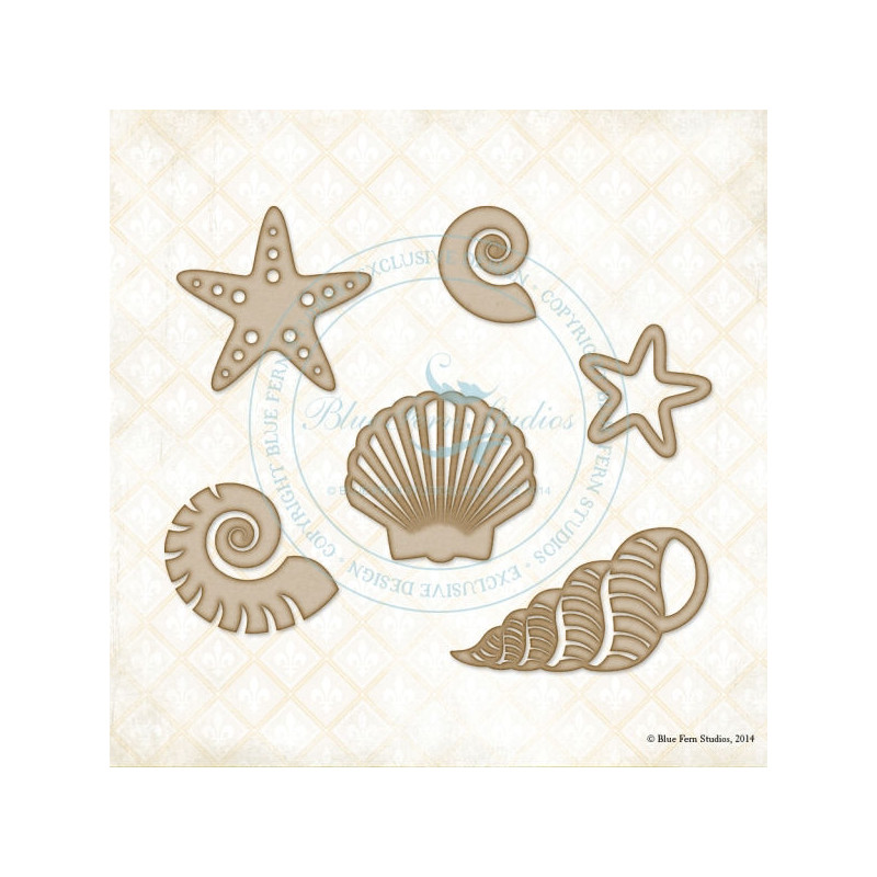 Seaside Seashells