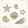 Seaside Seashells