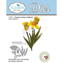 Garden Notes - Daffodil