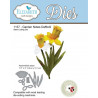 Garden Notes - Daffodil