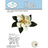 Garden Notes - Southern Magnolia