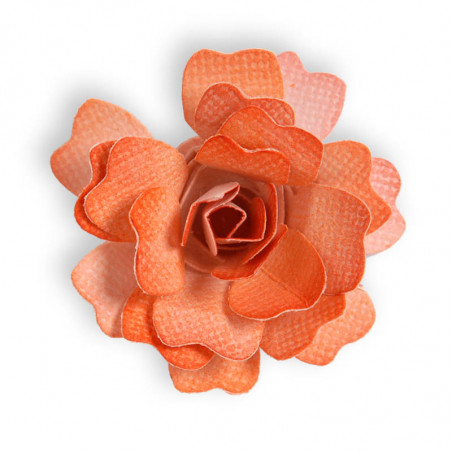 Flower, Rose 3D