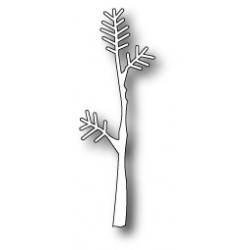 Small Pine Branch