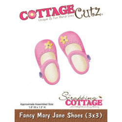 Fancy Mary Jane Shoes