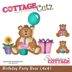Birthday Party Bear