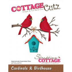 Cardinals & Birdhouse