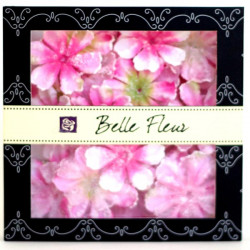 Belle Fleur - Primrose