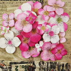 Painterly Petals - Pink