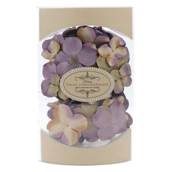 Quick Pick Hydrangea - Grape Hyacinth