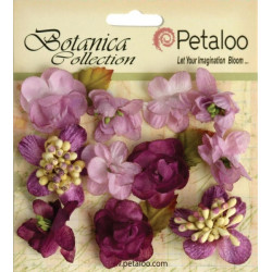 Botanica - Lavender-Purple
