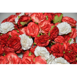 10 Carnations - Red Mix