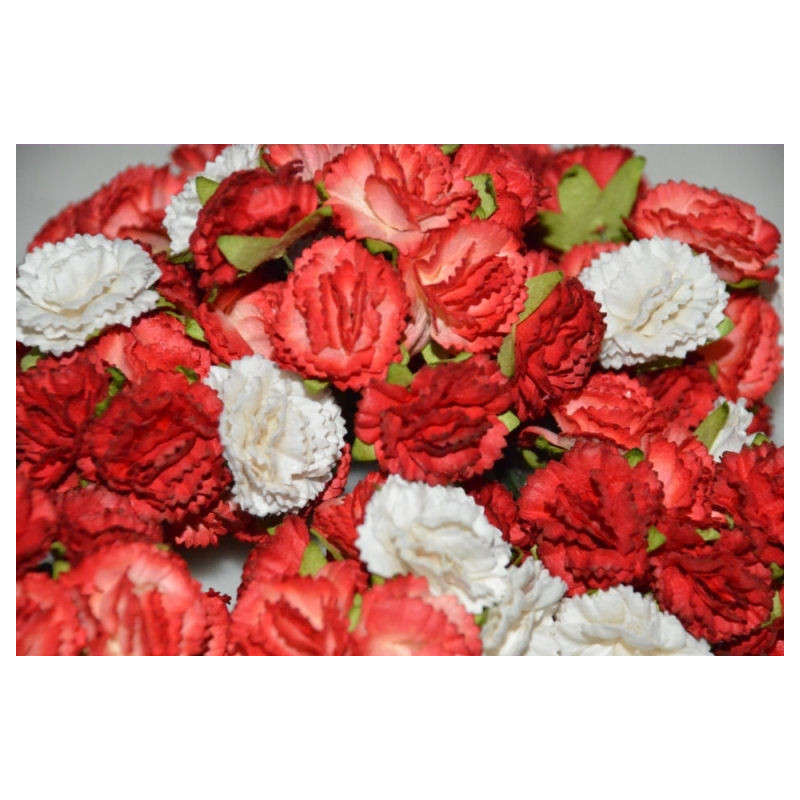 10 Carnations - Red Mix