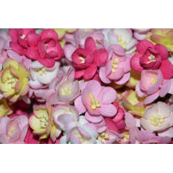 10 Cherry Blossoms - Pink Mix