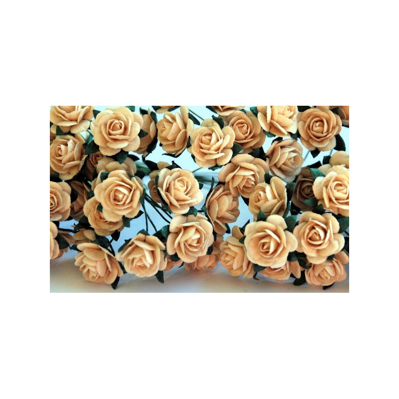 10 Deep Ivory Roses, 15mm