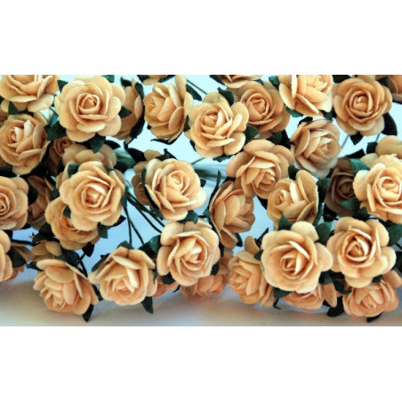 10 Deep Ivory Roses, 15mm