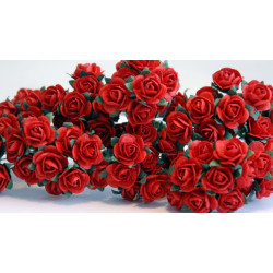 10 Romantic Red Roses, 10mm