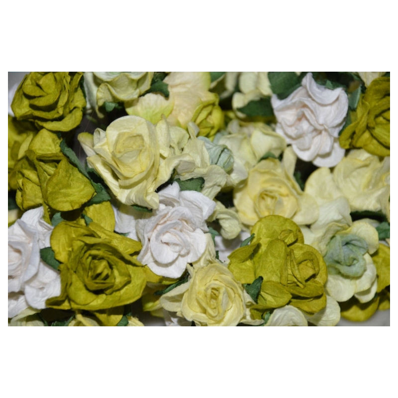 5 Curly Roses - Green Mix