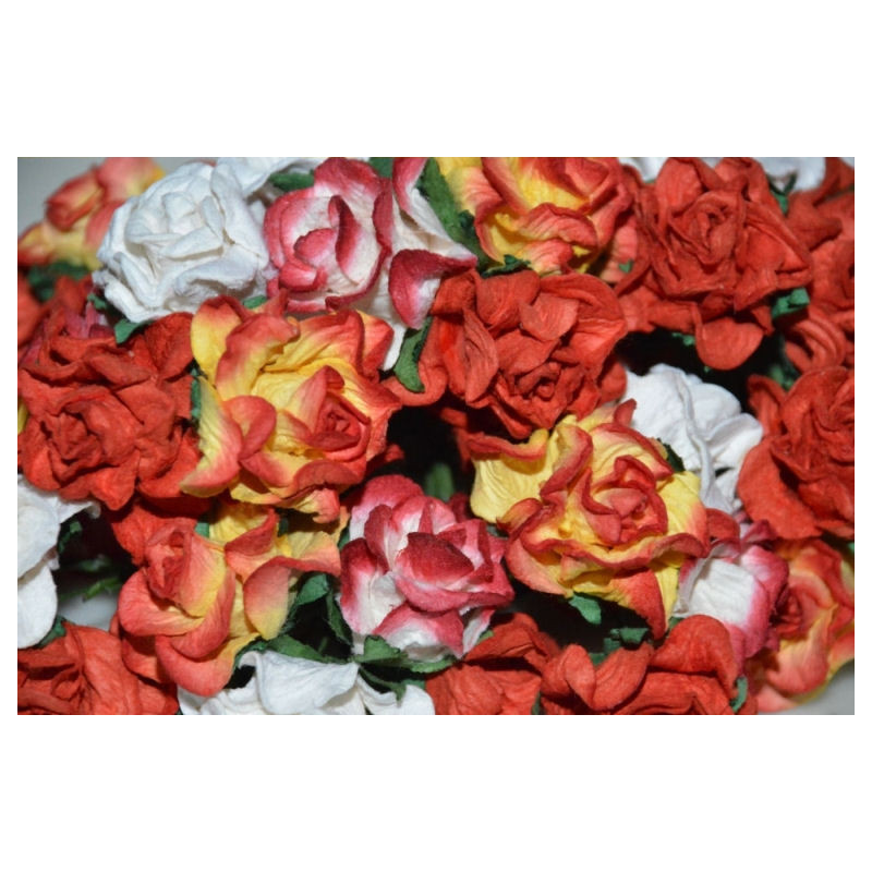 5 Curly Roses - Red Mix