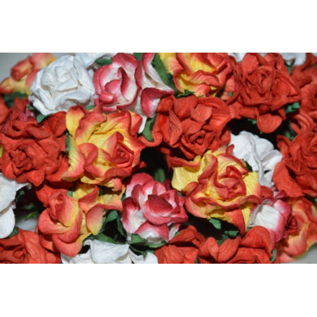 5 Curly Roses - Red Mix