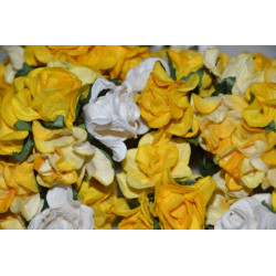 5 Curly Roses - Yellow Mix