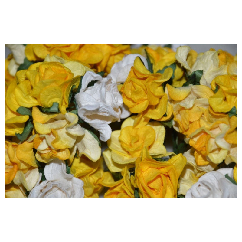 5 Curly Roses - Yellow Mix
