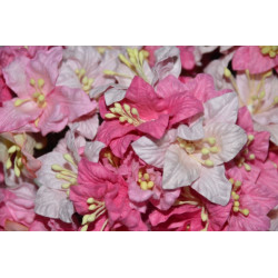 5 Lilies - Pink Mix
